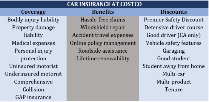 Costco Car Insurance Review – Policygenius
