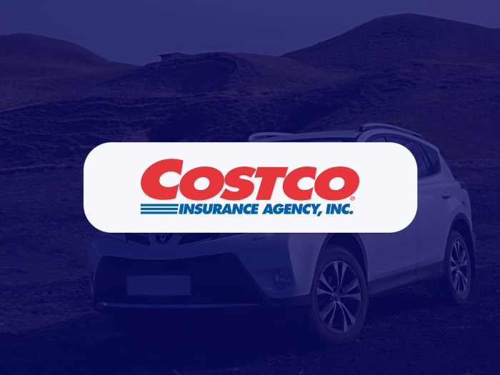 Costco Auto Insurance: User Reviews and Quotes (2024) | Insurify